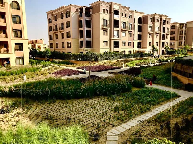 6 WhatsApp Image 2025-09-18 at 1.06. 43 AM (16). jpeg