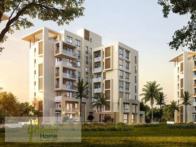 11 WhatsApp Image 2024-11-03 at 2.18. 23 PM. jpeg