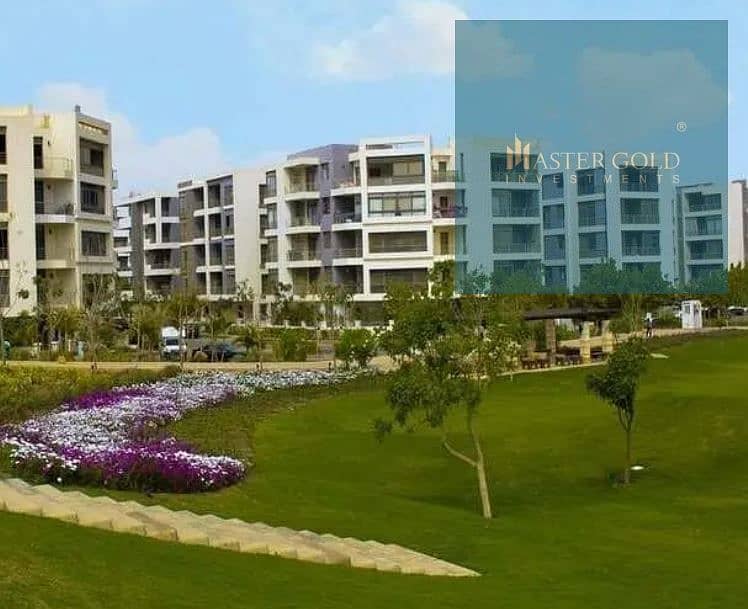 19 70a06d64-5091-4e0d-8726-d565d10b9ff4. jpeg