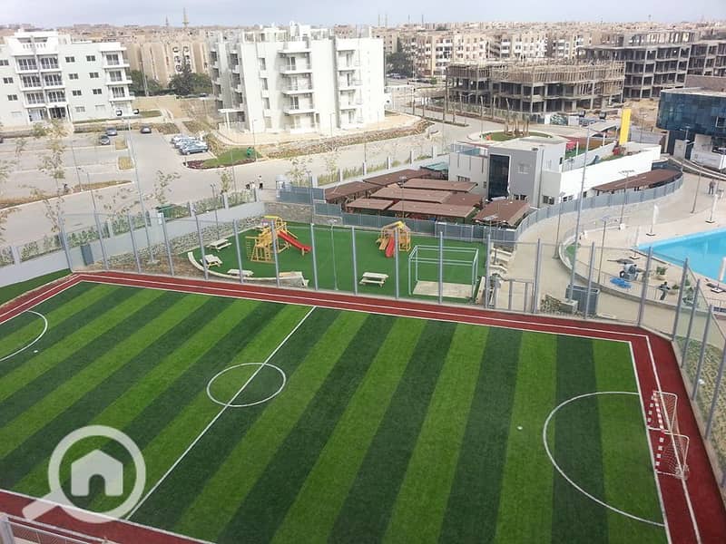 8 12541046_10154010492821454_5152696616114511086_n. jpg