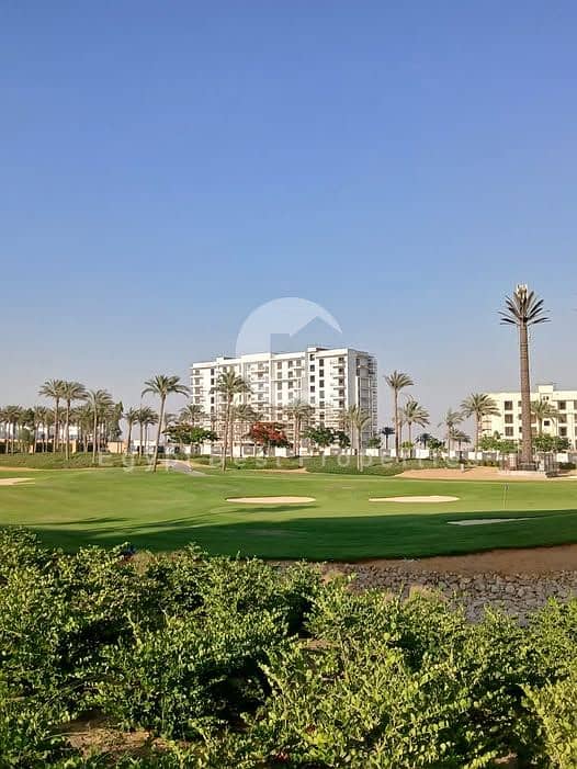 6 615840721_2998307547224413_2045091533928026569_n. jpg