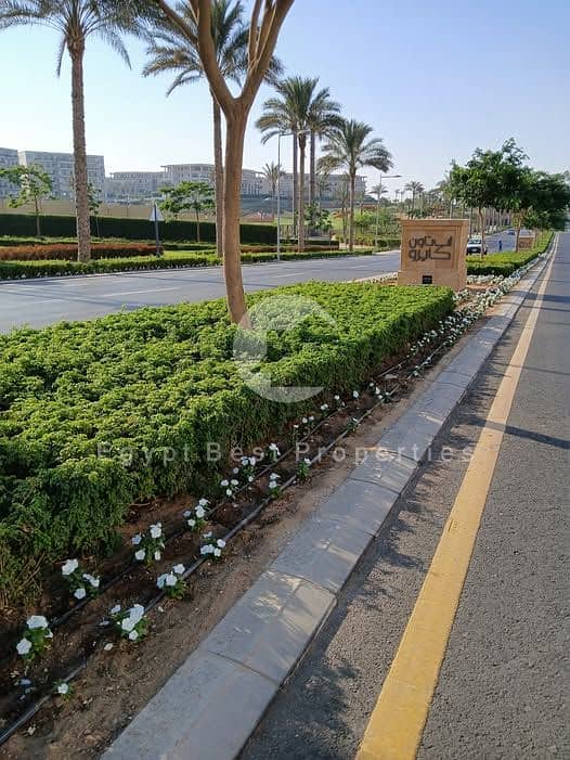 8 615409317_122164344392749959_1127186871421326142_n. jpg