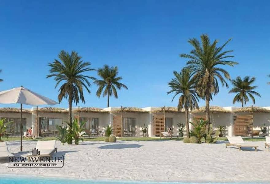 3 db1f8974-556c-4acf-8593-f7eb65d209e4. jpg