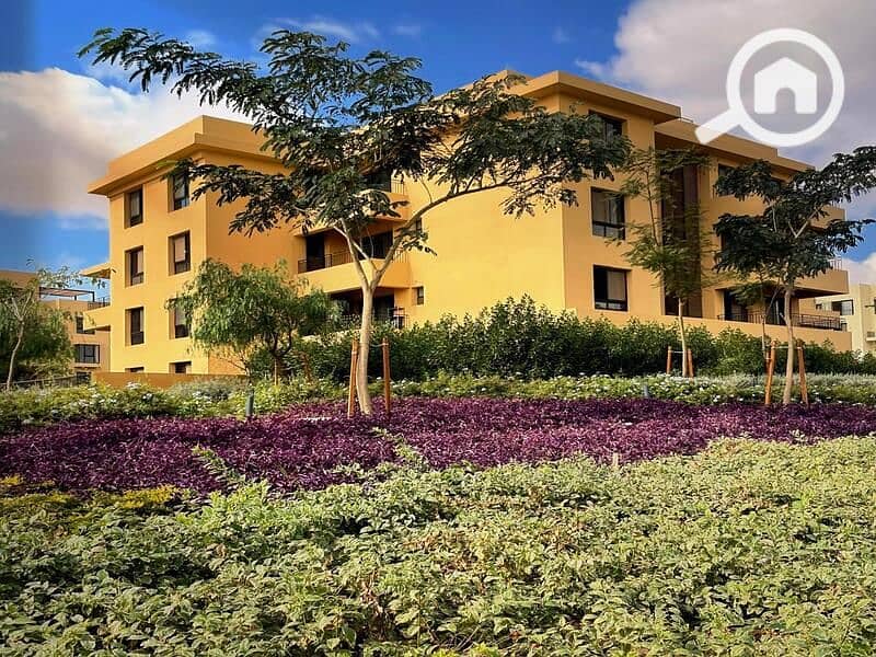 6 3f8160ca-a5dc-44d3-ad43-d842cf5b132b. jpg