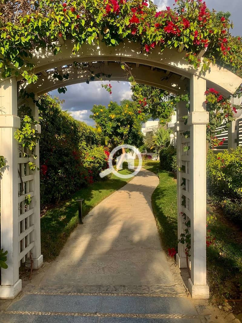 5 WhatsApp Image 2024-08-19 at 15.06. 34_38b86de2. jpg