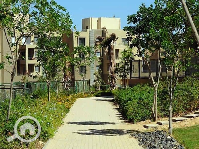 3 WhatsApp Image 2024-08-14 at 17.07. 32_6854ec2b. jpg