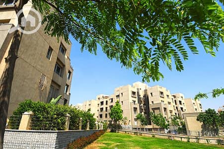 1 Bedroom Apartment for Rent in New Cairo, Cairo - nmiolpm. jpg