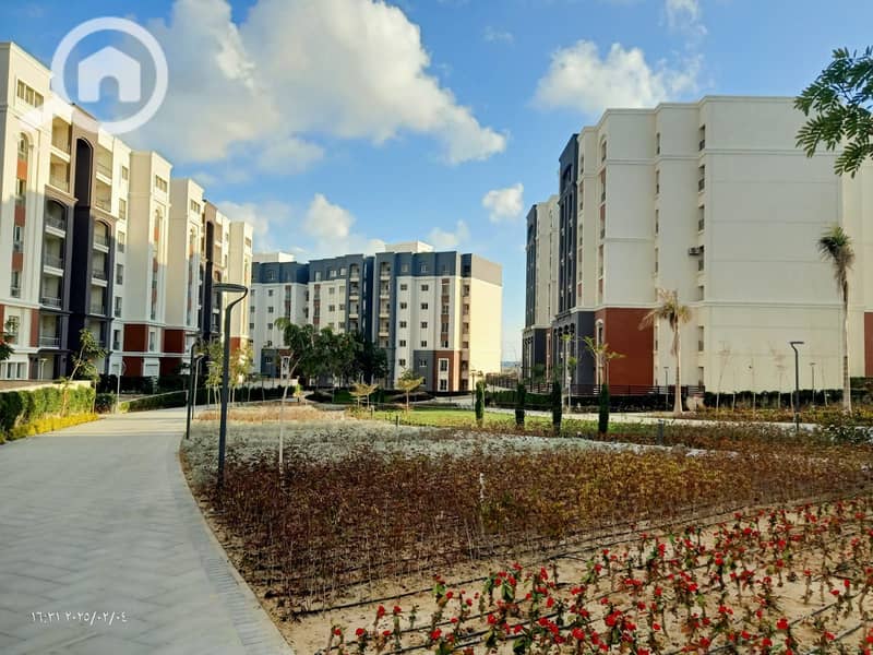 4 WhatsApp Image 2025-08-12 at 12.20. 27_b6df8210. jpg