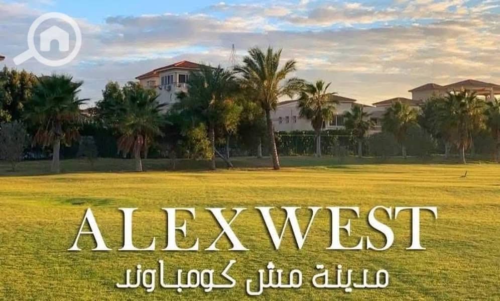 9 WhatsApp Image 2025-12-16 at 2.41. 04 PM. jpeg