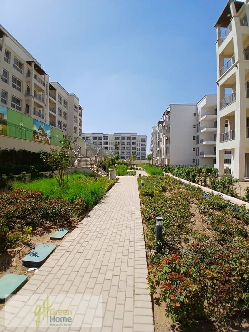 13 WhatsApp Image 2025-07-30 at 16.46. 08_e68966b3. jpg