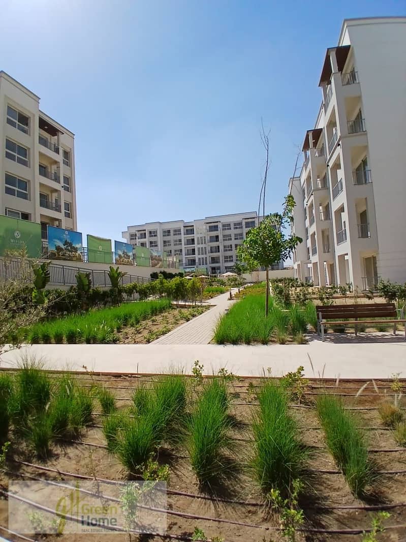 14 WhatsApp Image 2025-07-30 at 16.46. 09_3c084ba1. jpg