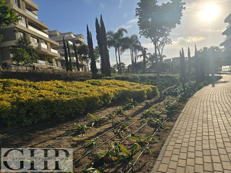 8 20260104_153311. jpg