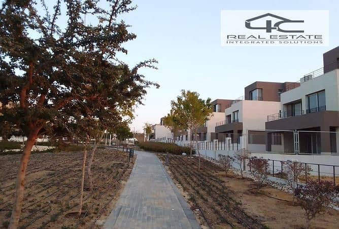 3 3817350-65b1co. jpg