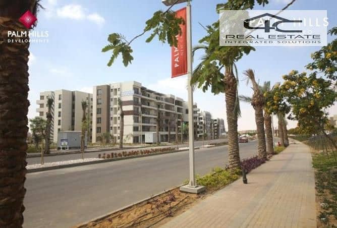 9 3818688-38d2fo. jpg