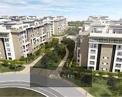 4 images - 2026-01-25T134030.949. jpg