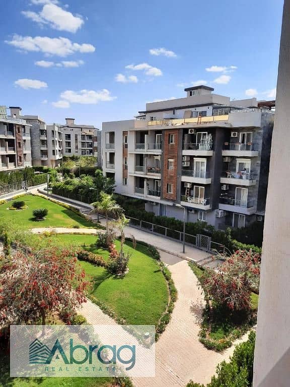 4 533217059 (1). jpg