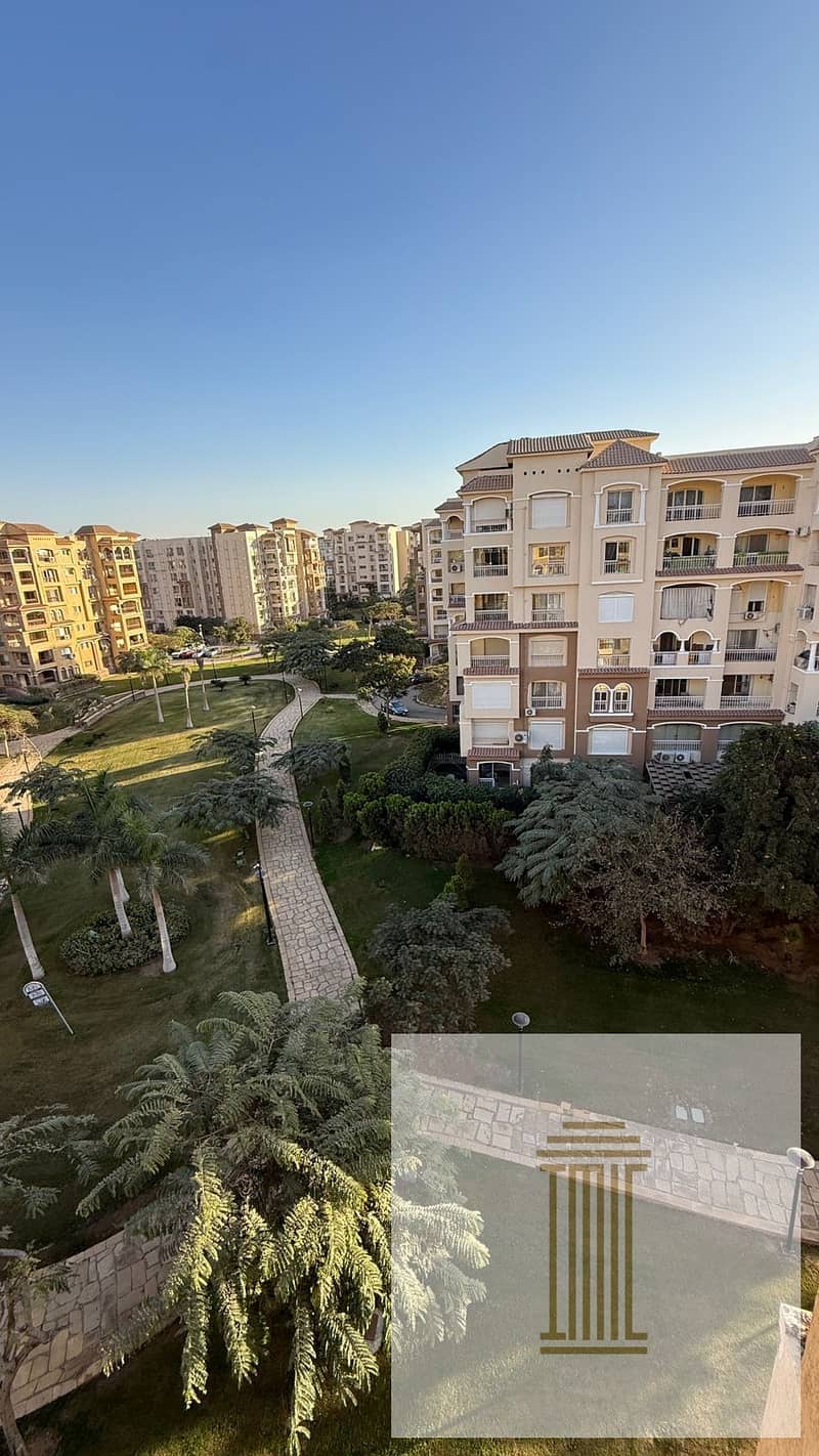 11 ccdf1357-5917-4de8-ad00-fd3a5c0cf88a. jpeg