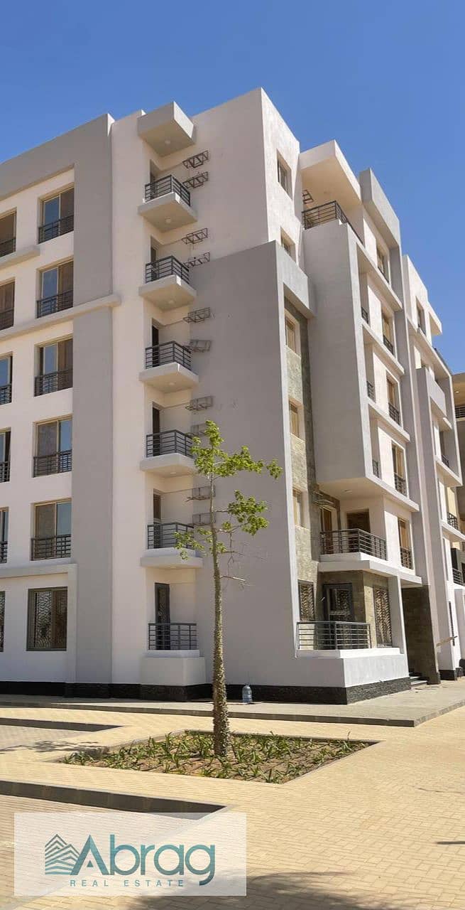 12 WhatsApp Image 2025-05-14 at 21.28. 30_958844d9. jpg