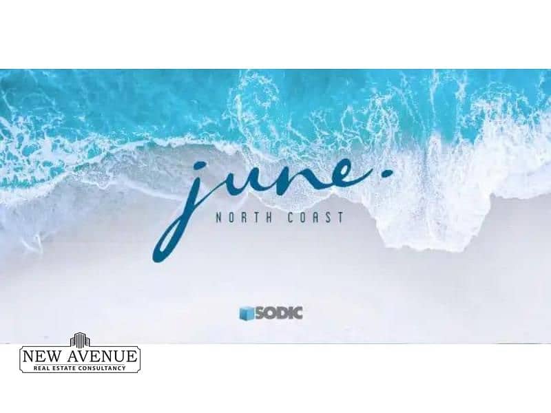 7 WhatsApp Image 2026-01-22 at 4.12. 16 PM. jpg