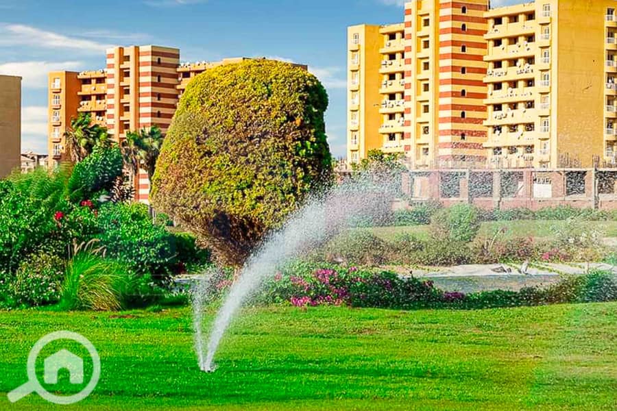 5 WhatsApp Image 2025-05-06 at 12.31. 22 PM (1). jpg