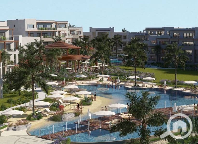 4 WhatsApp Image 2024-11-06 at 13.57. 33_f7d8c502. jpg