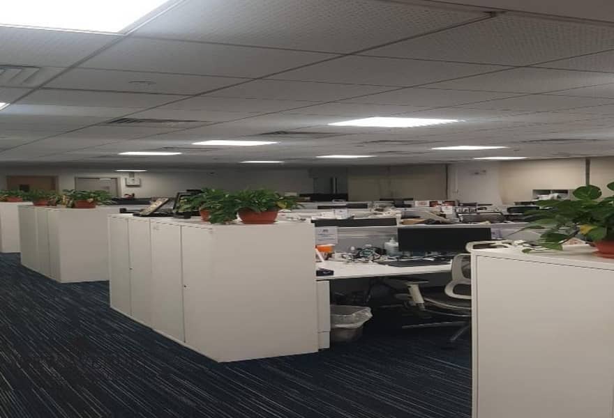 11 original (25). jpg