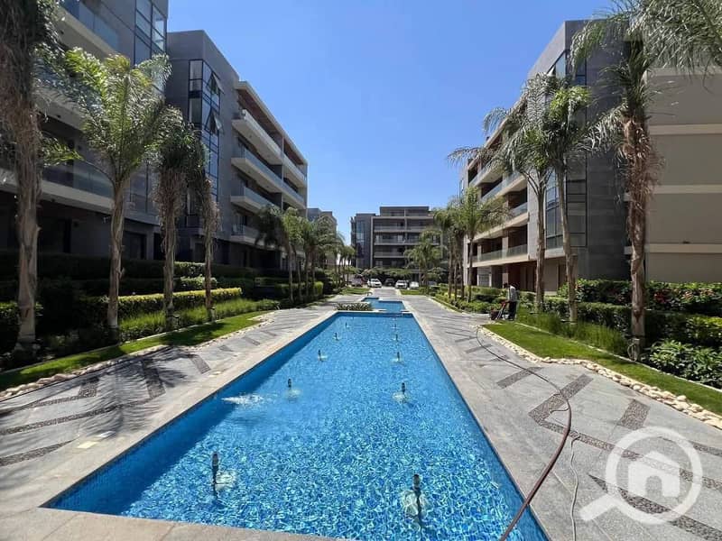 12 616846571_122221118480283898_7876655773746287768_n. jpg