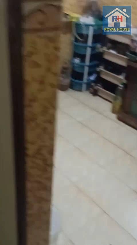 7 98c413cb-8f87-4cbb-985e-af26c5d1274d. jpg