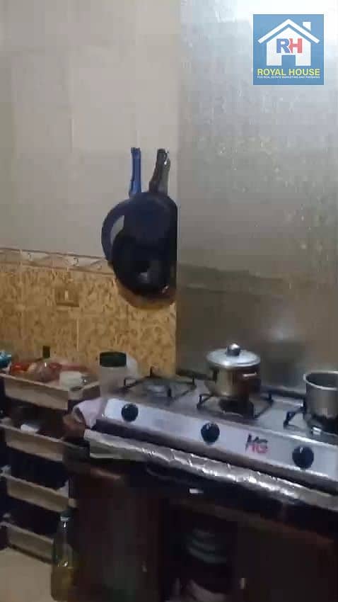 11 bb48e145-7613-4a62-8277-1bde4ee4e300. jpg