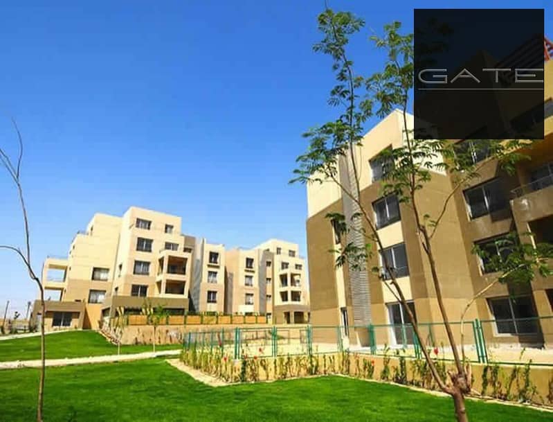 8 211dbbec-3537-44a0-9fbf-0849d219d508. jpg