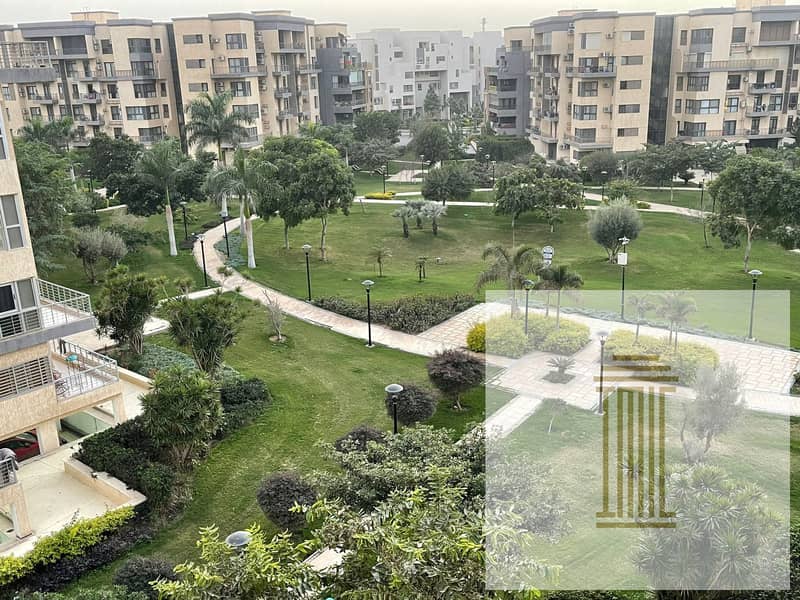 6 dadbcf01-b64c-42a1-8f35-b70f155de99a. jpeg