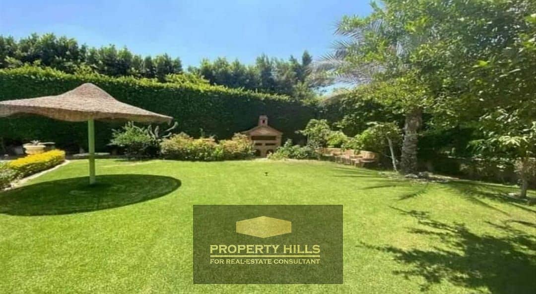 9 WhatsApp Image 2024-07-17 at 1.59. 00 PM (1). jpeg