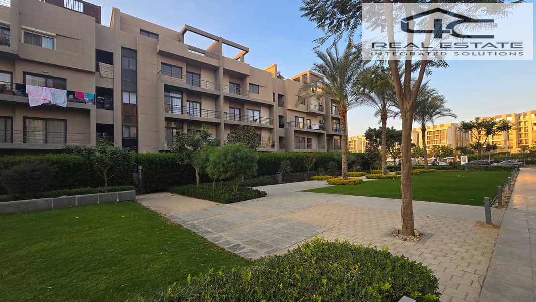 6 20251117_161659(0). jpg