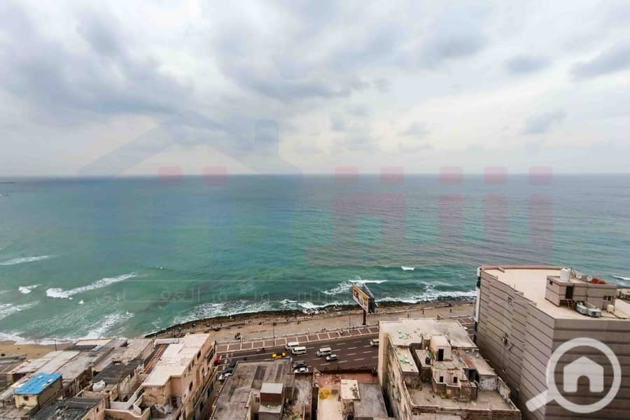 3 WhatsApp Image 2026-01-21 at 10.19. 33 AM. jpg