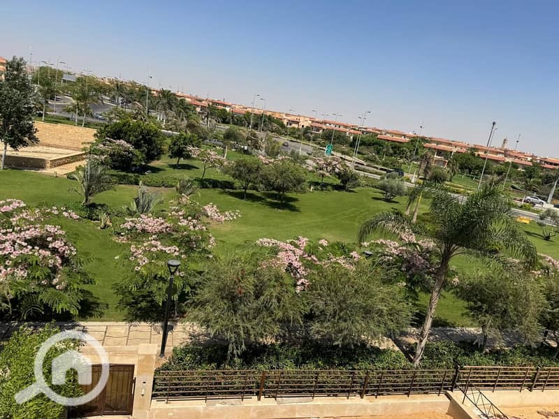 13 1888b587-45df-4959-8767-0adc3d69c4bd. jpg