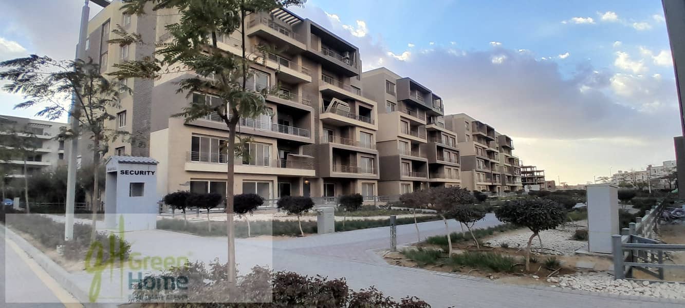 11 20260109_160231. jpg