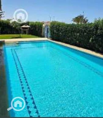 4 Screenshot_35. png