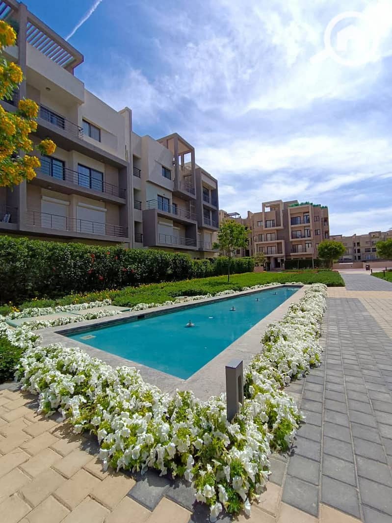 8 FB_IMG_1767087160630. jpg