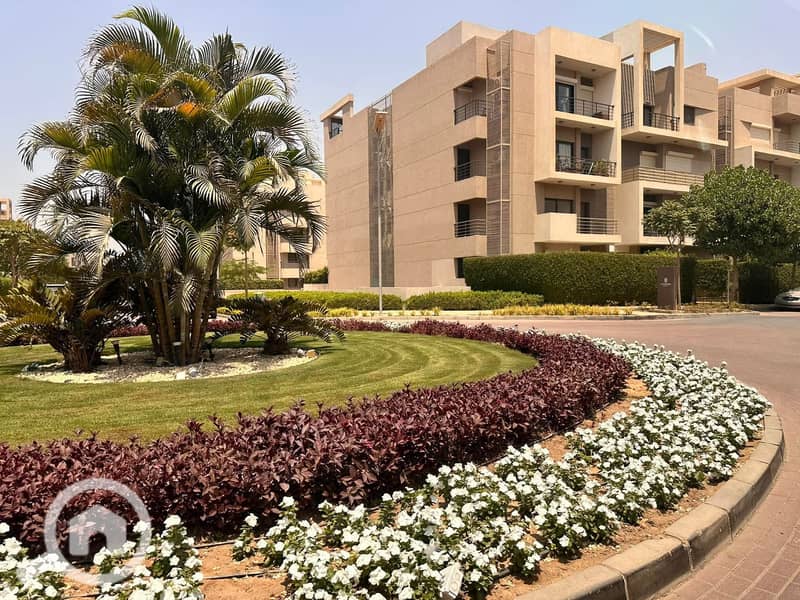 10 FB_IMG_1767437127285. jpg