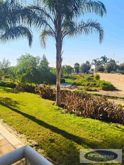 شقة 3 غرف نوم للبيع في مدينتي، القاهرة - IMG-20260122-WA0069. jpg