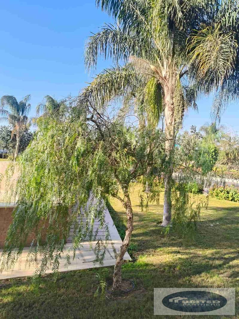 13 IMG-20260122-WA0081. jpg