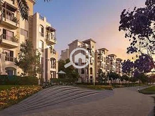 8 909ad04d-784e-11ef-b4b1-ceec2d1902f0. jpeg