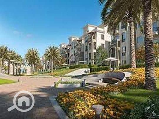 11 9080ad7a-784e-11ef-9f80-ae4f9337efe8. jpeg