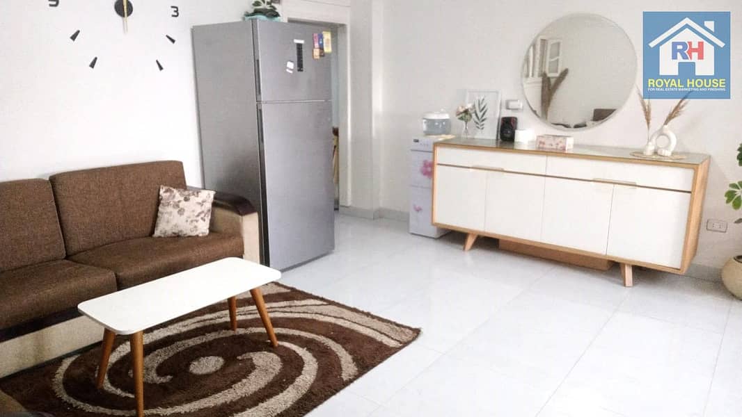 4 80ff78a7-1926-4327-9ec8-8a330559bb46. jpg