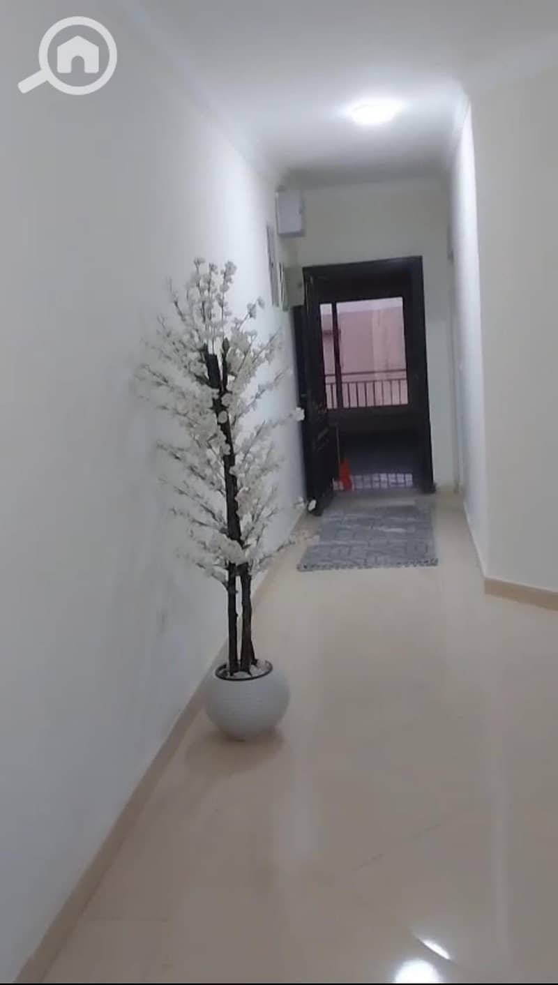 3 f9ed2da9-ee9b-4d4c-be52-22cbaaf5752c. jpeg