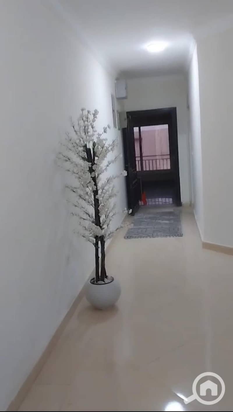 11 f9ed2da9-ee9b-4d4c-be52-22cbaaf5752c. jpeg