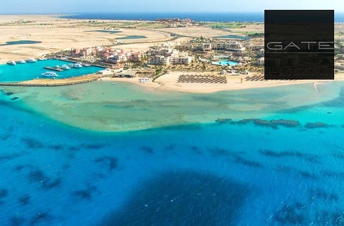 2 WhatsApp Image 2026-01-25 at 2.35. 03 PM. jpeg