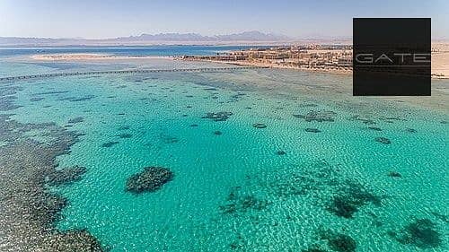 8 WhatsApp Image 2026-01-25 at 2.35. 01 PM. jpeg