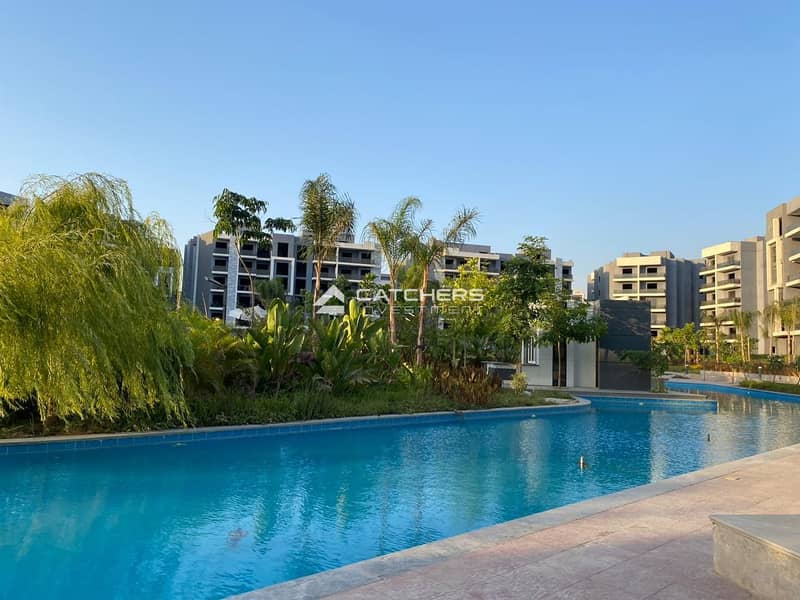 3 767bff2b-8c2c-474a-89c0-7fe0607c7159. jpg