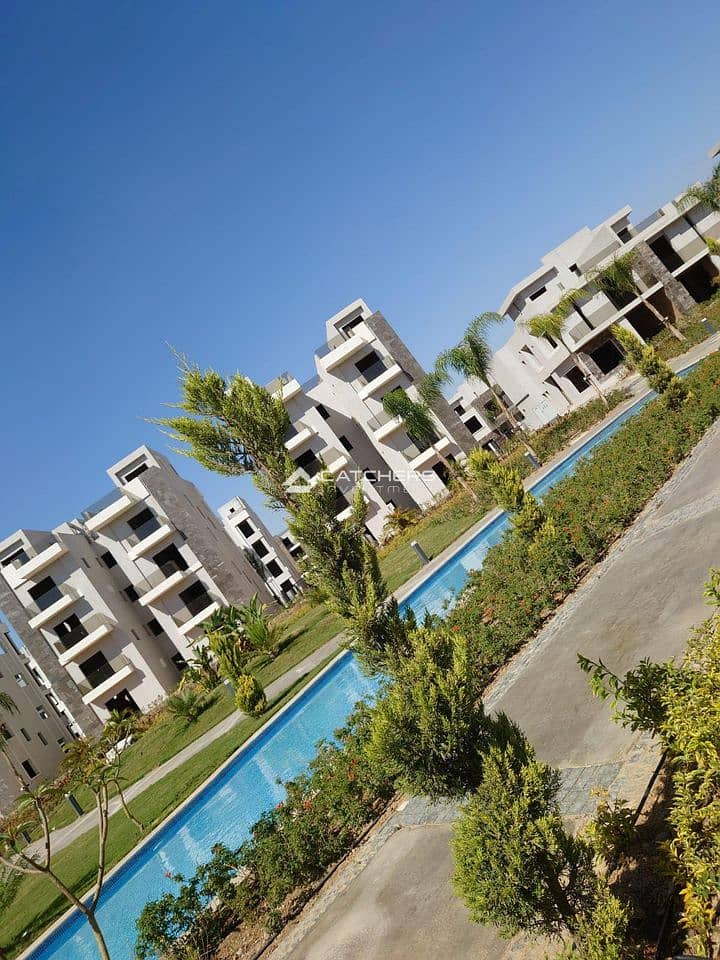 11 345320704_5372930316165213_2592441985348744760_n. jpg